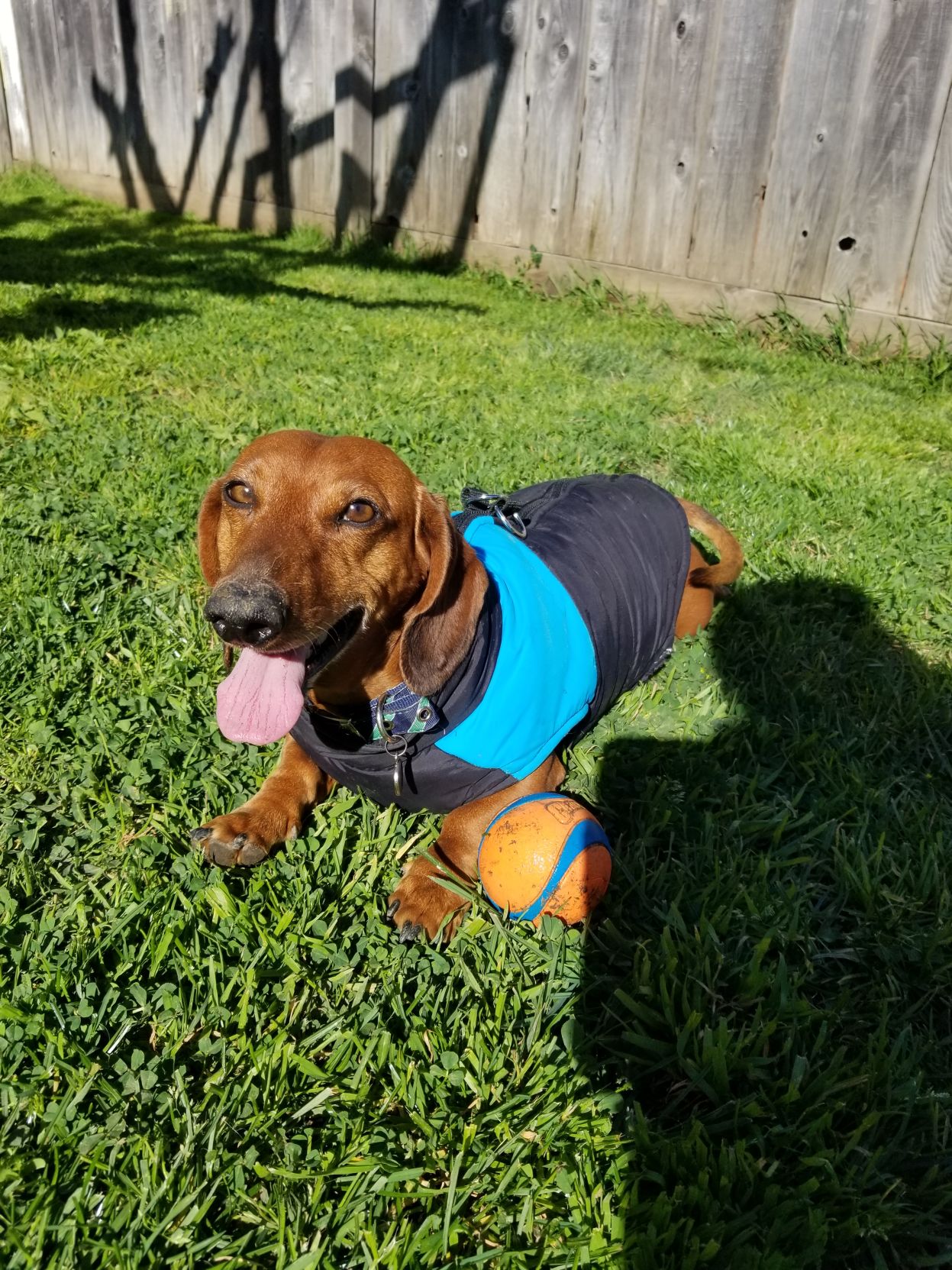 Brownie Cervantes